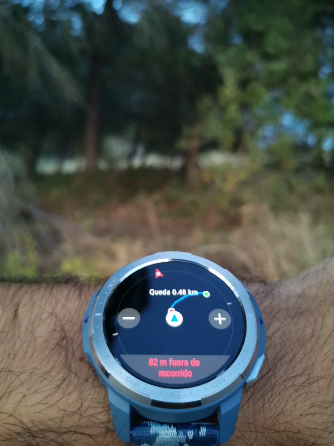 pimg-srchttpsiforum-dechihonorcomesdataimages20201065ee72946-0861-4e81