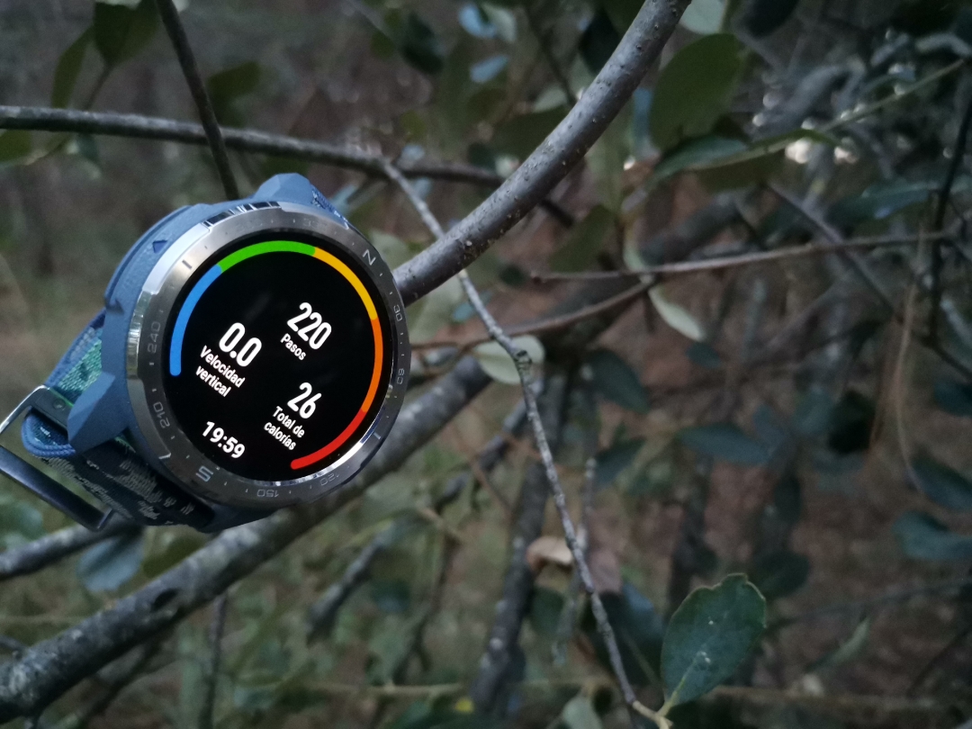 pimg-srchttpsiforum-dechihonorcomesdataimages20201065ee72946-0861-4e81