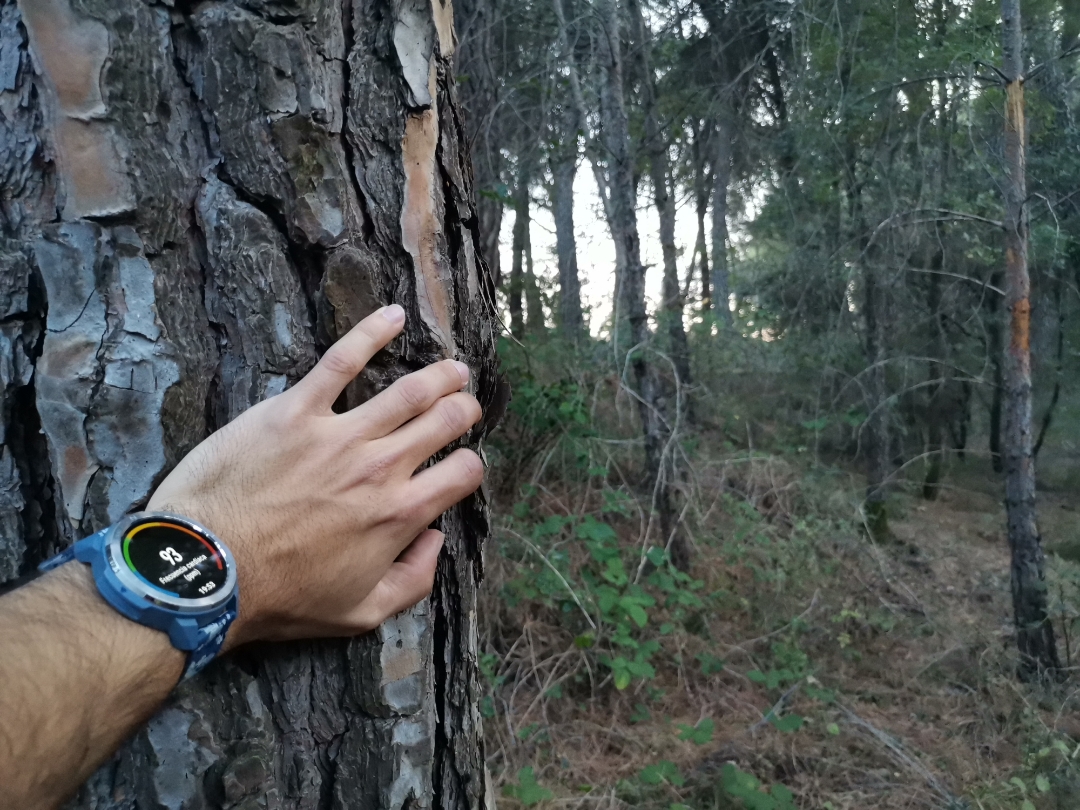 pimg-srchttpsiforum-dechihonorcomesdataimages20201065ee72946-0861-4e81