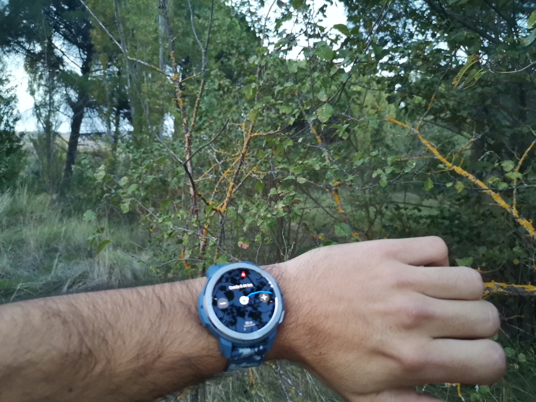 pimg-srchttpsiforum-dechihonorcomesdataimages20201065ee72946-0861-4e81