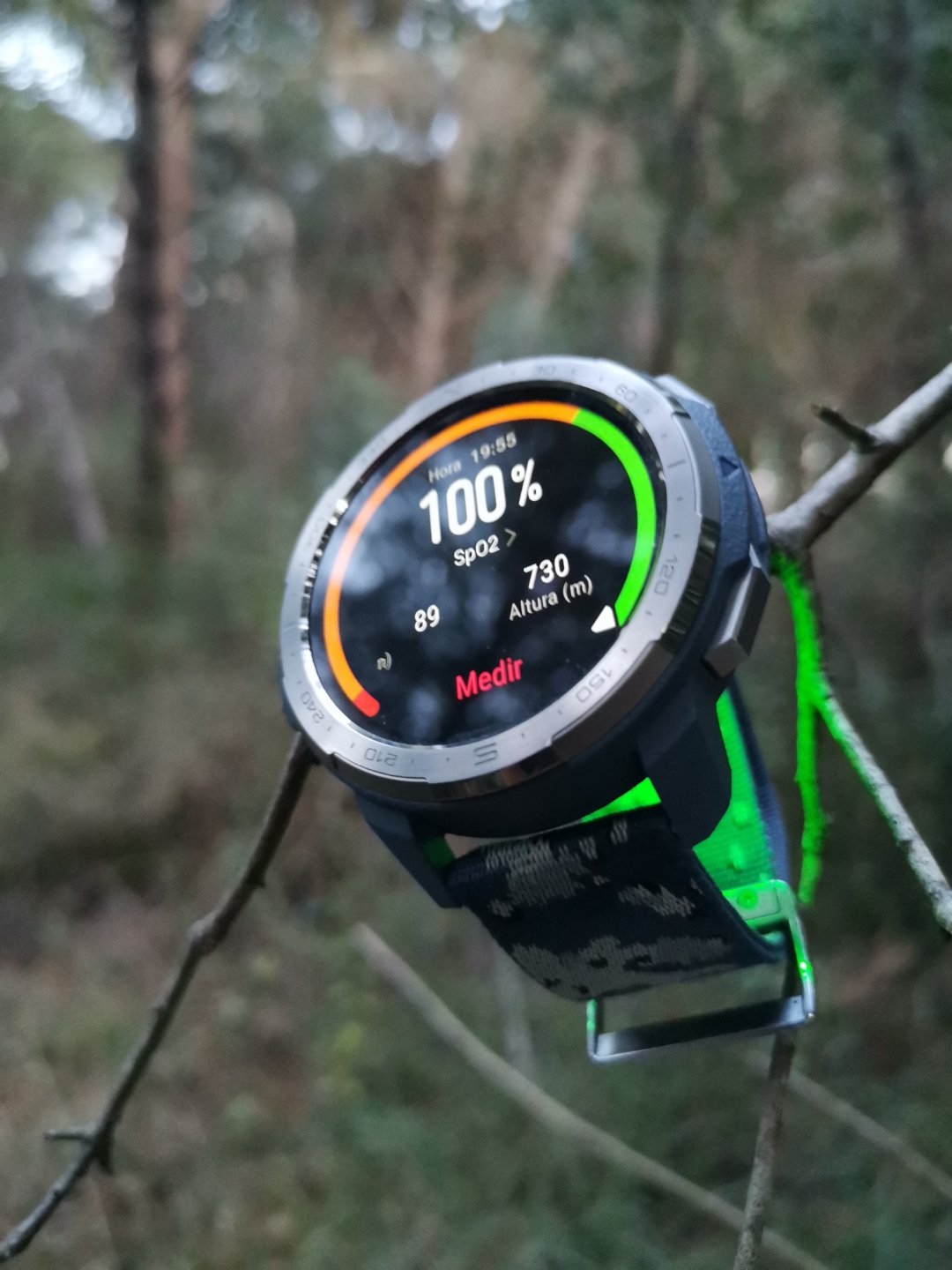 pimg-srchttpsiforum-dechihonorcomesdataimages20201065ee72946-0861-4e81