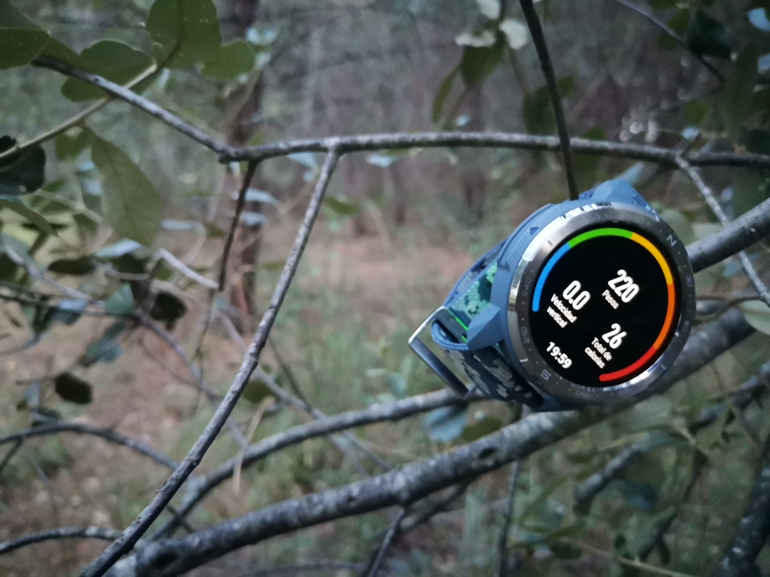 pimg-srchttpsiforum-dechihonorcomesdataimages20201065ee72946-0861-4e81