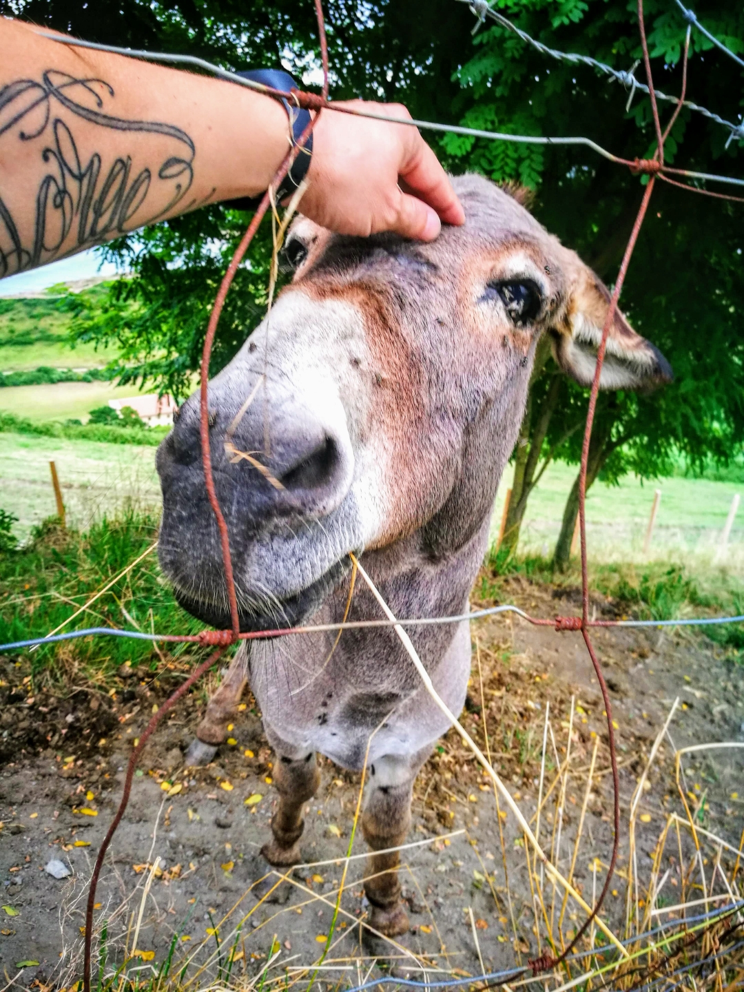 pspan-stylefont-size18pxspanHola-HONOR-FansbrbrMuchas-gracias-a-todos