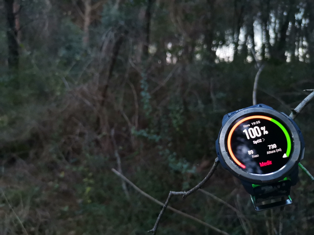 pimg-srchttpsiforum-dechihonorcomesdataimages20201065ee72946-0861-4e81