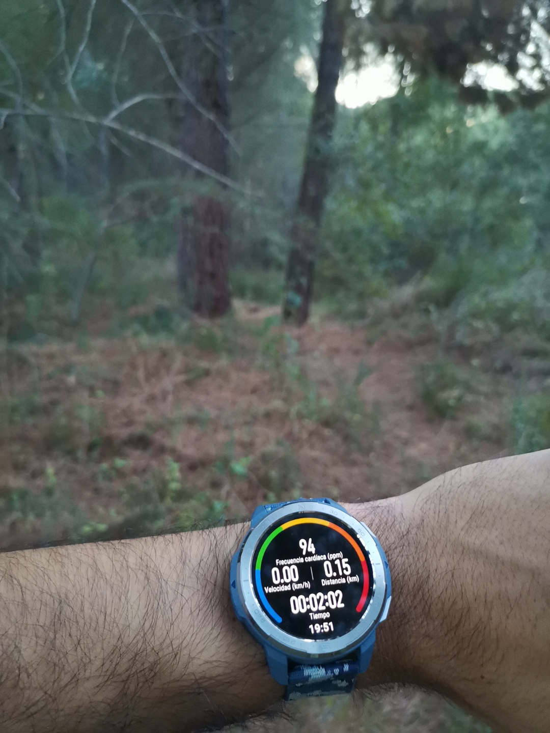 pimg-srchttpsiforum-dechihonorcomesdataimages20201065ee72946-0861-4e81