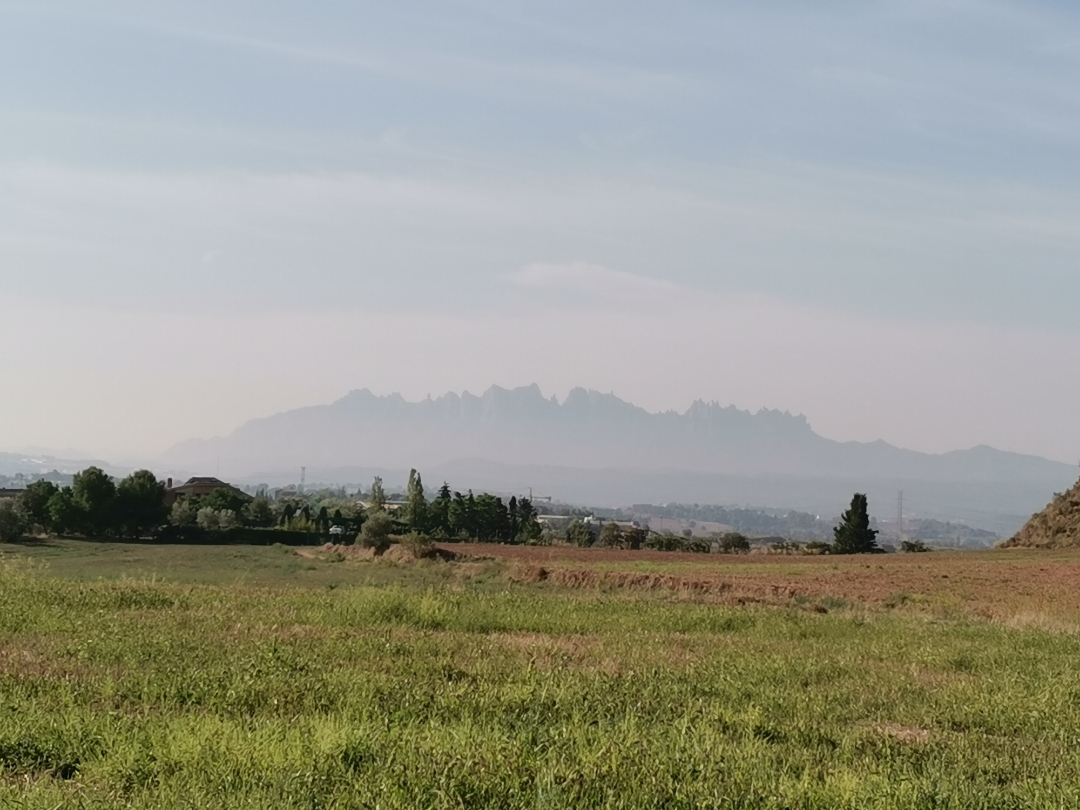 pSiempre-que-hace-buen-día-aunque-en-casa-se-esté-muy-bien-salgo-a