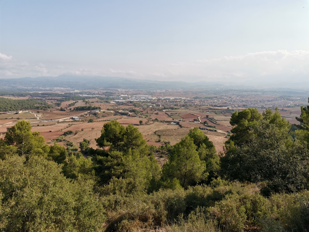 pSiempre-que-hace-buen-día-aunque-en-casa-se-esté-muy-bien-salgo-a