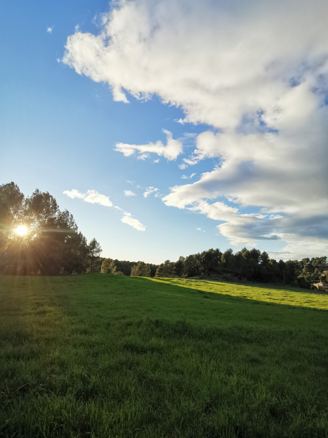 pSiempre-que-hace-buen-día-aunque-en-casa-se-esté-muy-bien-salgo-a