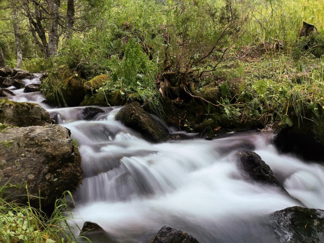 PrimerosnbspmesesnbspdenbspusonbspconnbspelnbspHONORnbsp9XnbspPRO