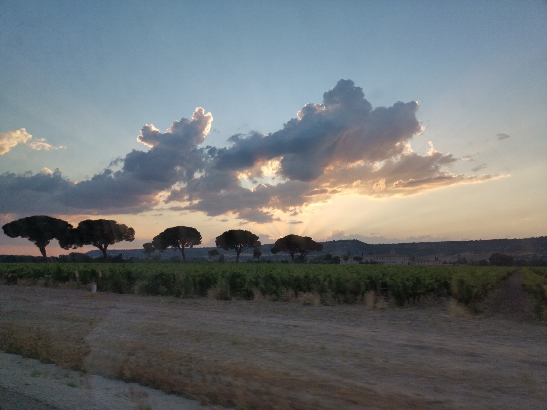 PrimerosnbspmesesnbspdenbspusonbspconnbspelnbspHONORnbsp9XnbspPRO