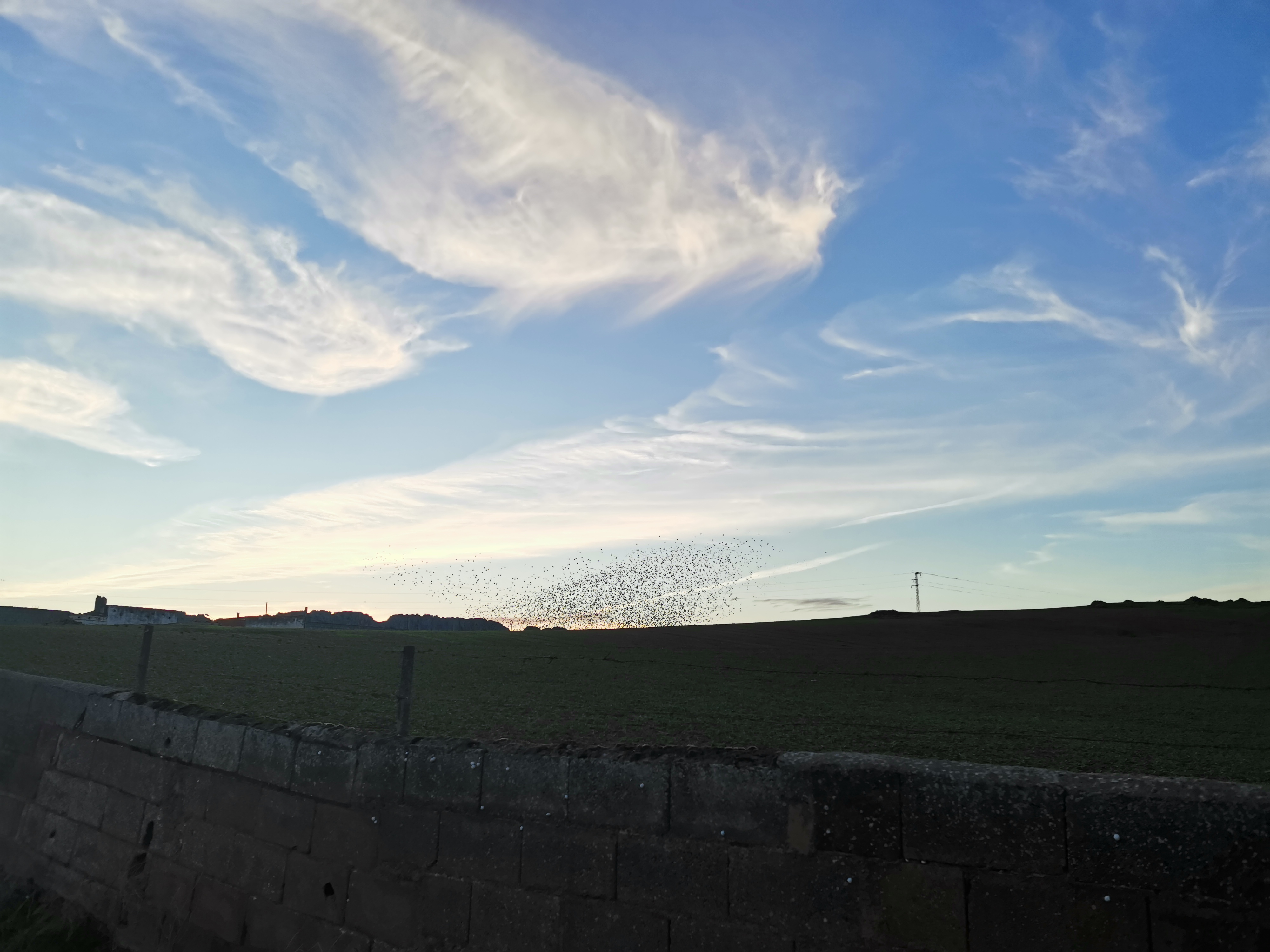 pBuenos-díasppbrppEstos-días-de-otoño-a-pesar-de-que-los-días-son-más