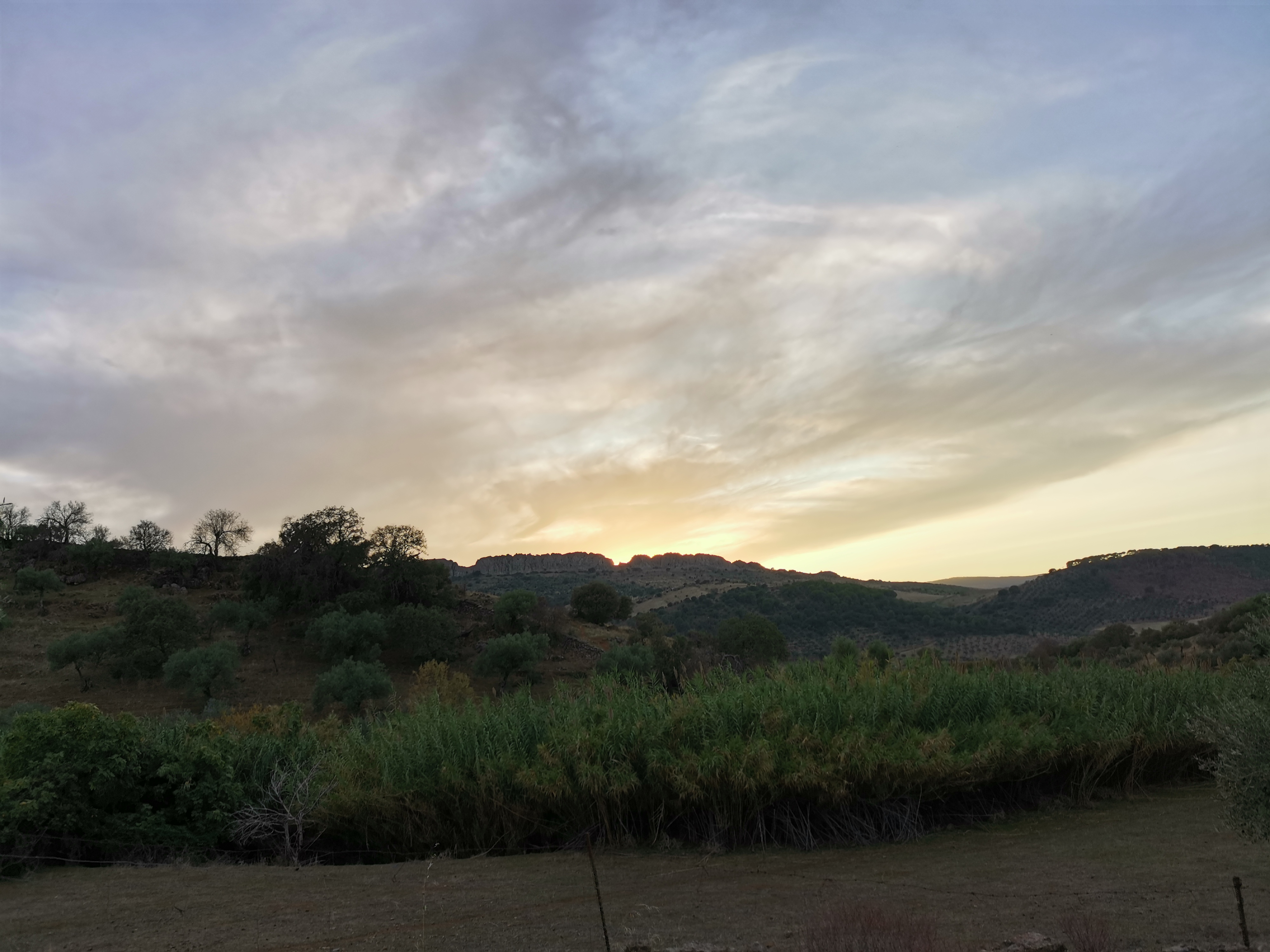 pBuenos-díasppbrppEstos-días-de-otoño-a-pesar-de-que-los-días-son-más