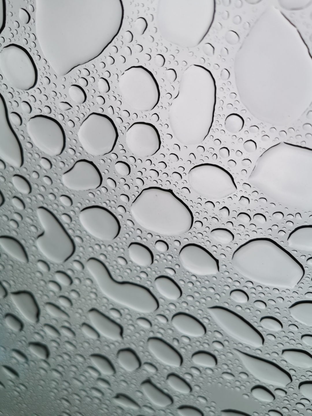 pimg-srchttpsiforum-dechihonorcomesdataimages20201114c56a843e-606c