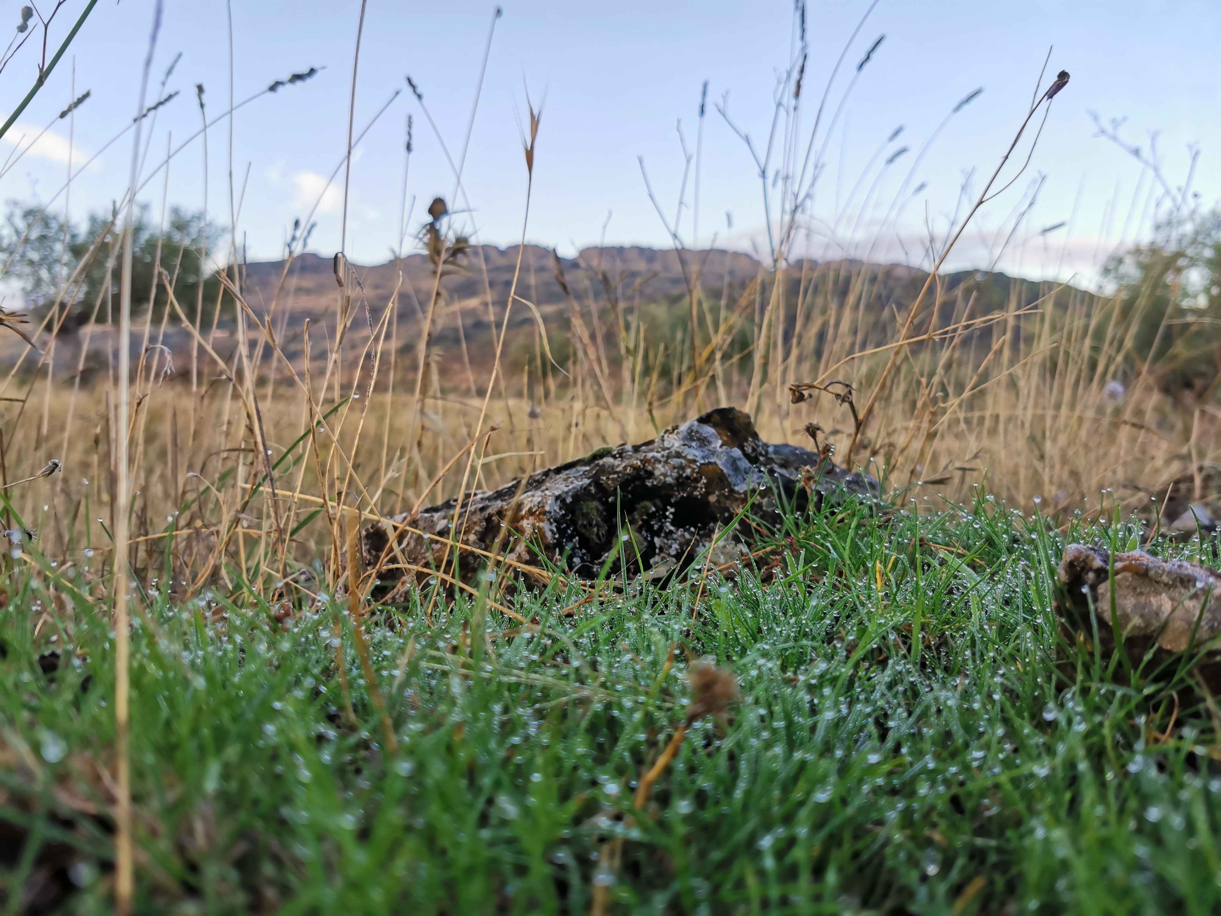 pBuenos-díasppbrppEstos-días-de-otoño-a-pesar-de-que-los-días-son-más