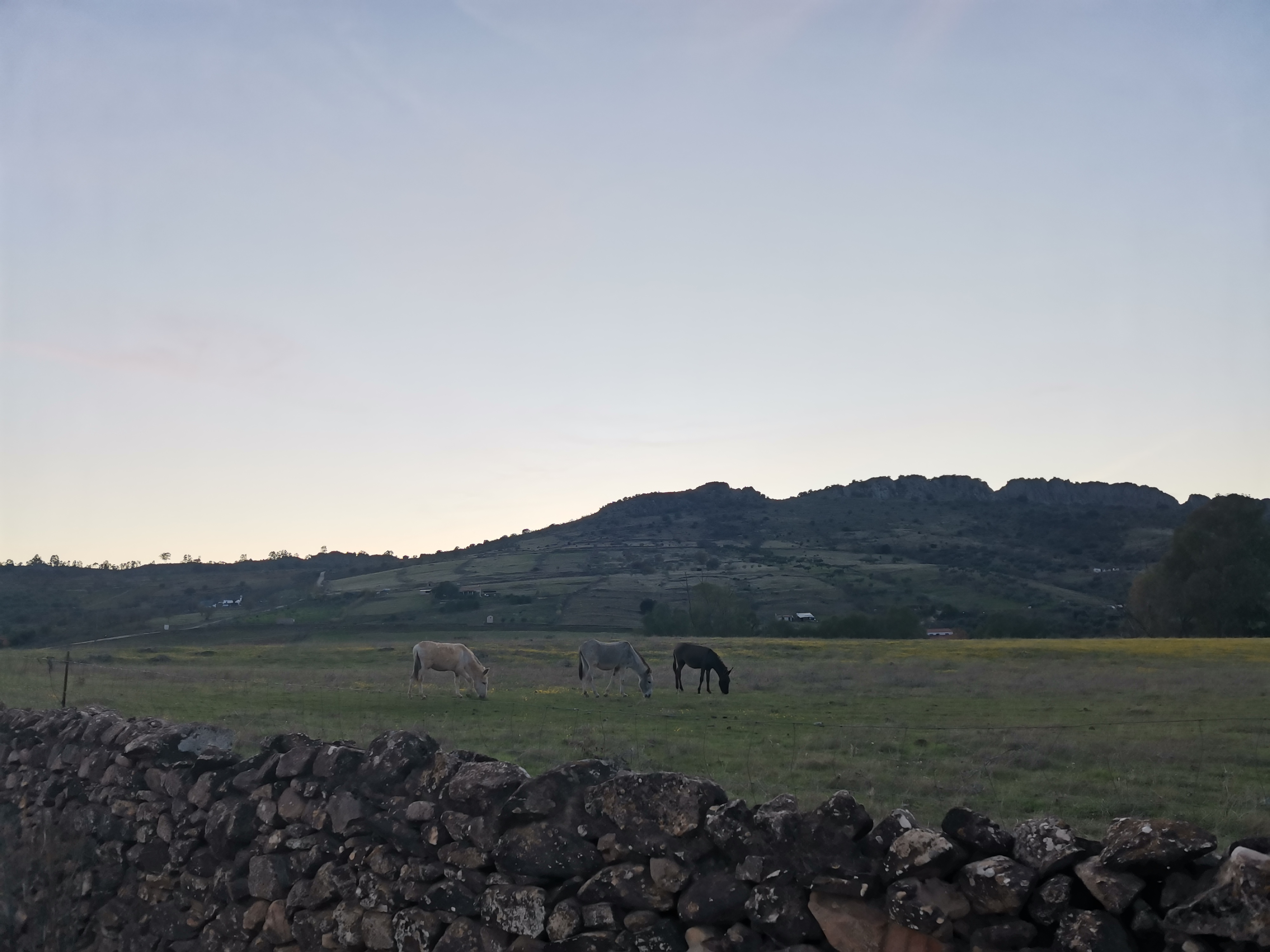 pBuenos-díasppbrppEstos-días-de-otoño-a-pesar-de-que-los-días-son-más