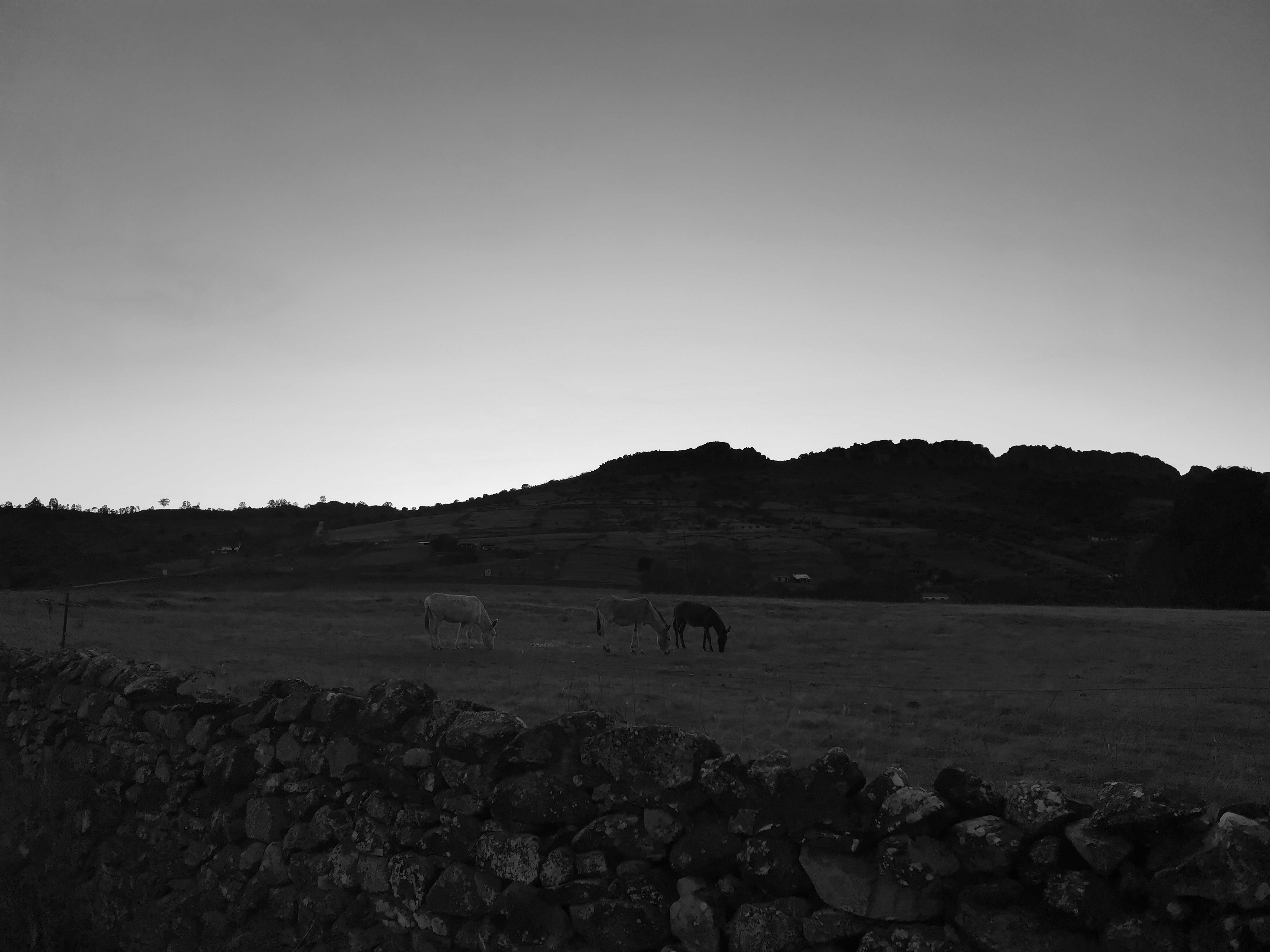 pBuenos-díasppbrppEstos-días-de-otoño-a-pesar-de-que-los-días-son-más