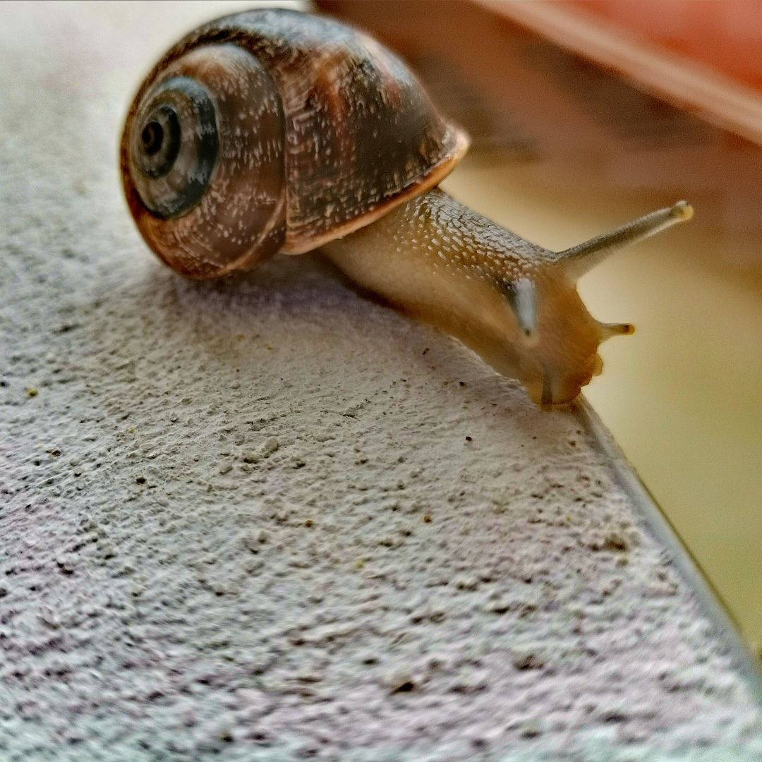 pspan-stylefont-size16pxstrongspanAquí-os-comparto-la-última-colección