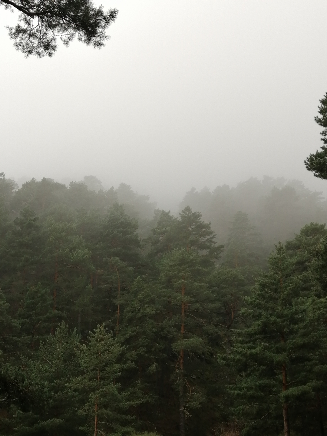 pspan-stylefont-size16pxstrongspanAquí-os-comparto-la-última-colección