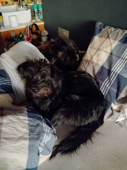 Honor-8X-una-sorpresa-muy-agradable