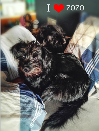 Honor-8X-una-sorpresa-muy-agradable