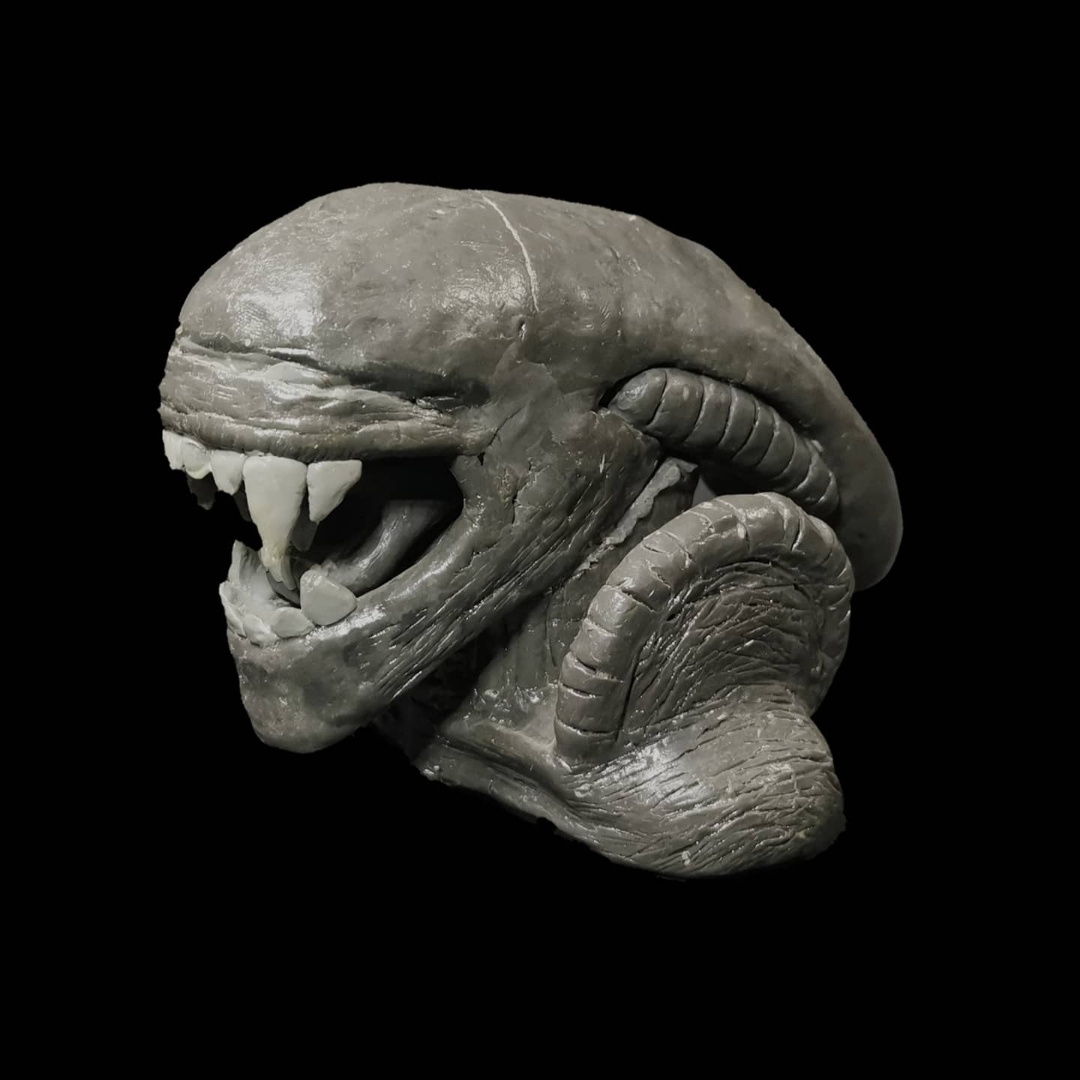 pimg-srchttpsiforum-dechihonorcomesdataimages20201199b3cfbc0-63cf-43e4