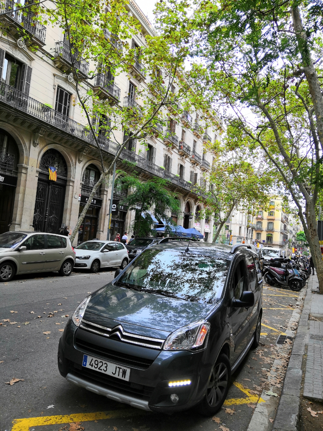 Fotografía-Honor-Play-con-cámara-AI