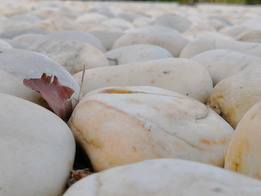 La-belleza-de-la-naturaleza-capturada-por-la-IA-del-Honor-10
