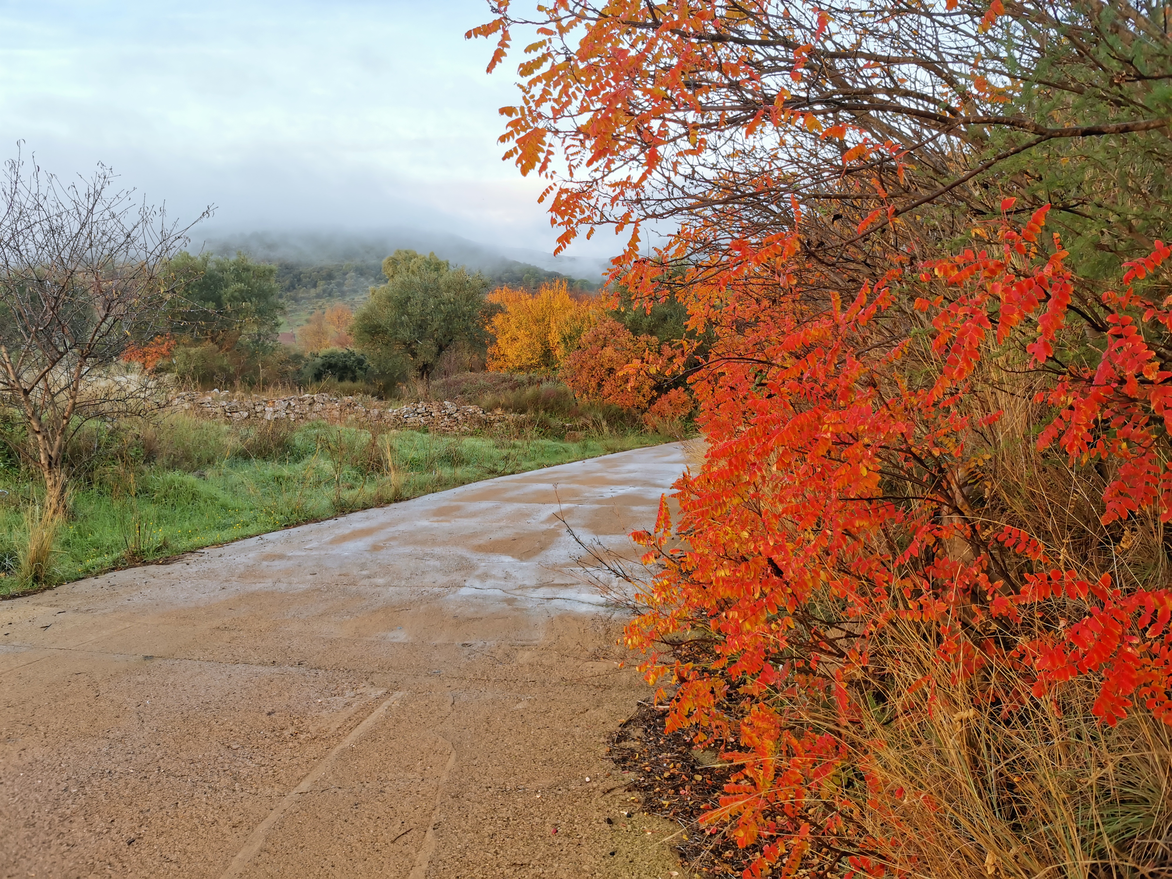 pPuede-que-resulte-repetitivo-pero-es-que-me-siguen-alucinando-los