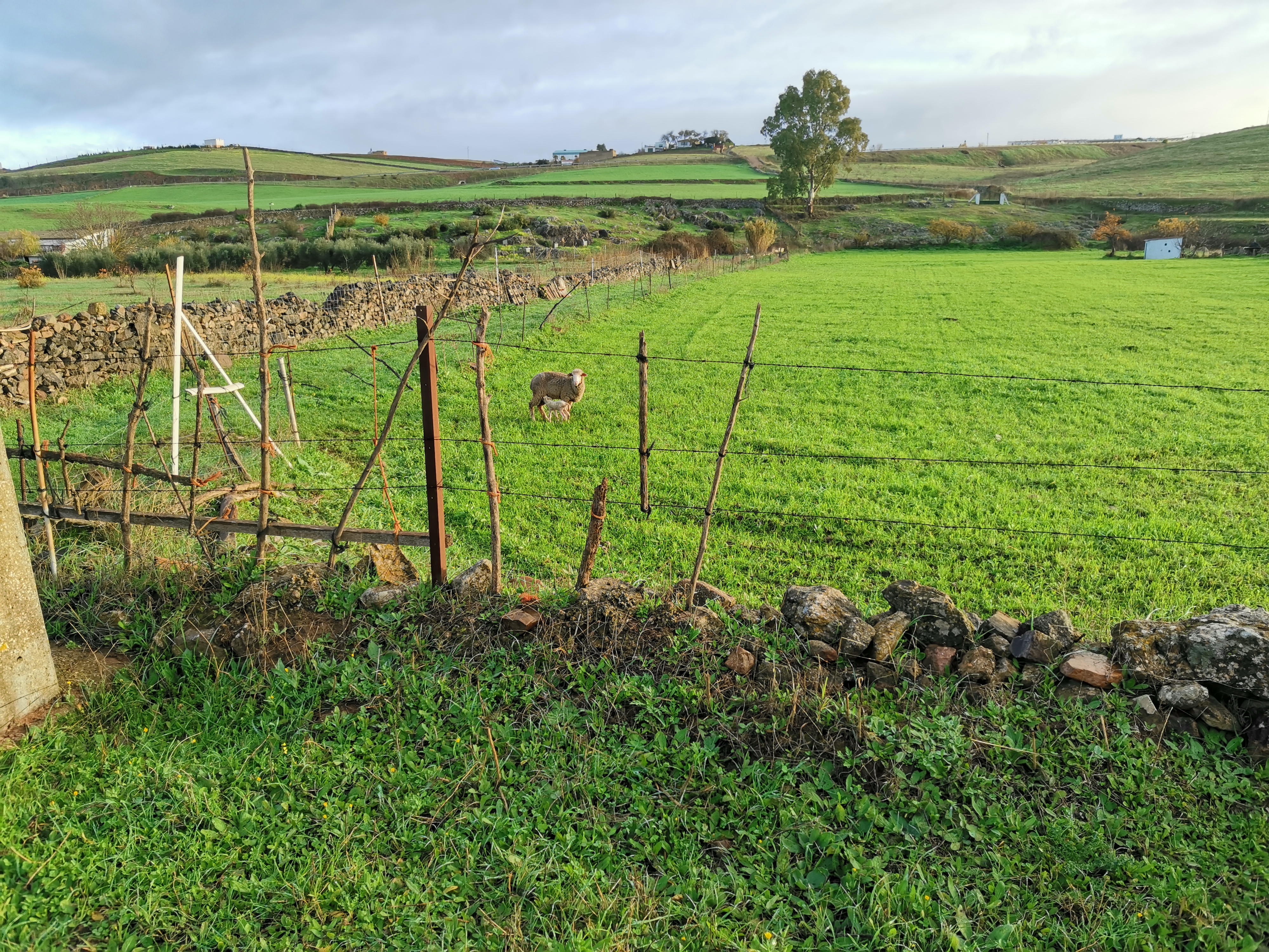 pPuede-que-resulte-repetitivo-pero-es-que-me-siguen-alucinando-los