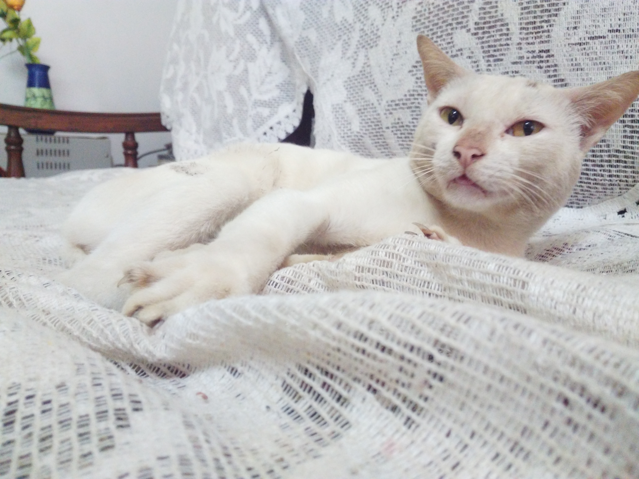 Review-del-Honor-7X-mejorando-el-legado-del-Honor-6X