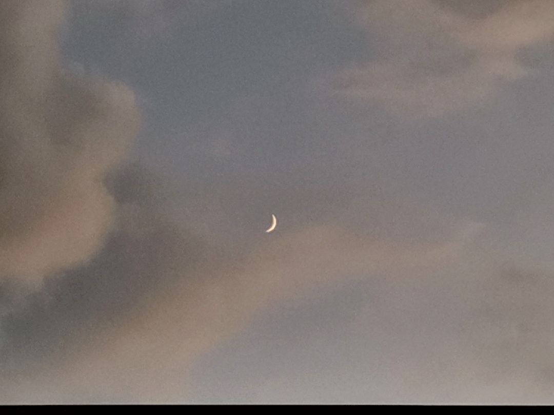 pimg-srchttpsiforum-dechihonorcomesdataimages20201219322289eb-ee09