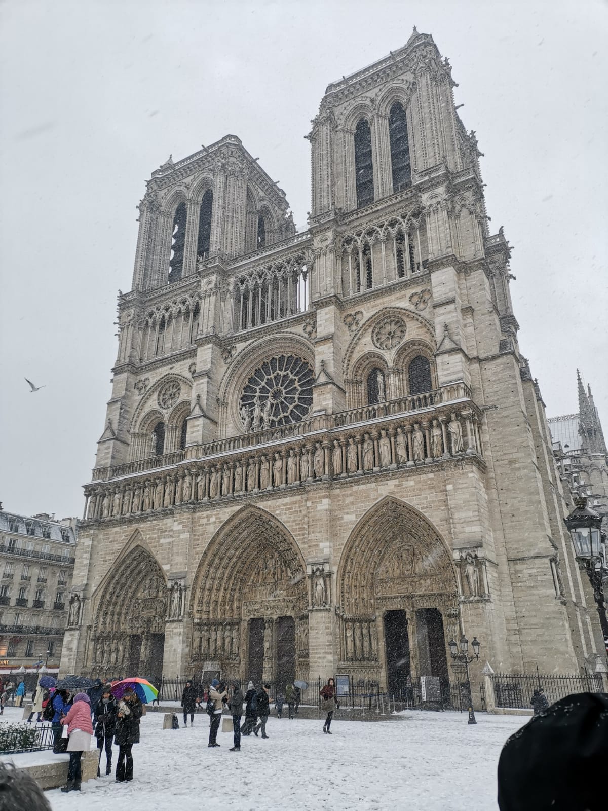 MI-EXPERIENCIA-EN-EL-PASADO-EVENTO-DEL-HONOR-VIEW-20-EN-PARÍS