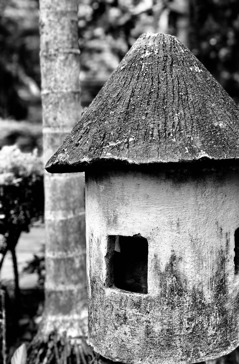 Honor-10-asistido-por-IA-beautyinAI