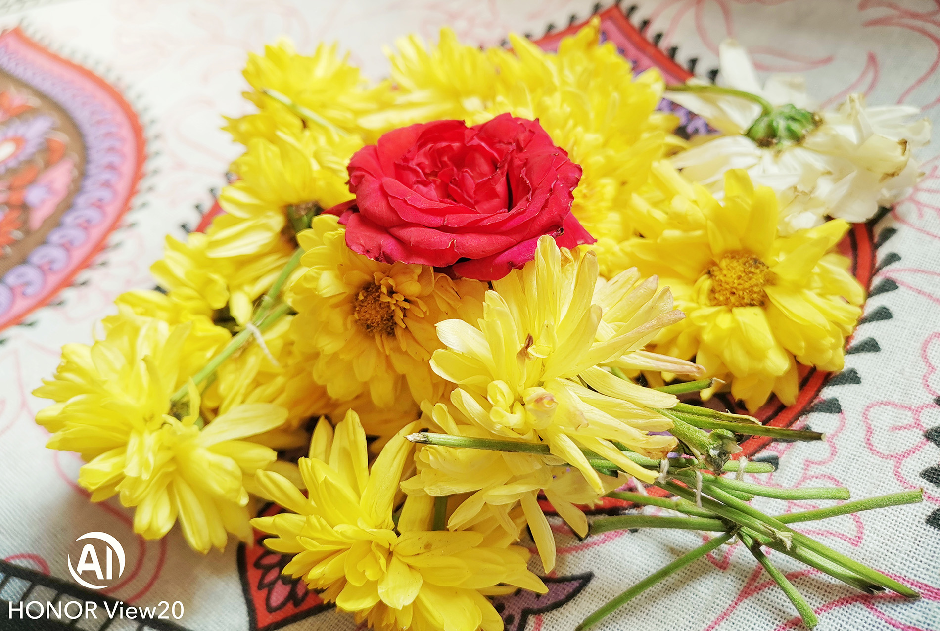 Fotografía-Explorando-el-HONOR-View20-Cámara