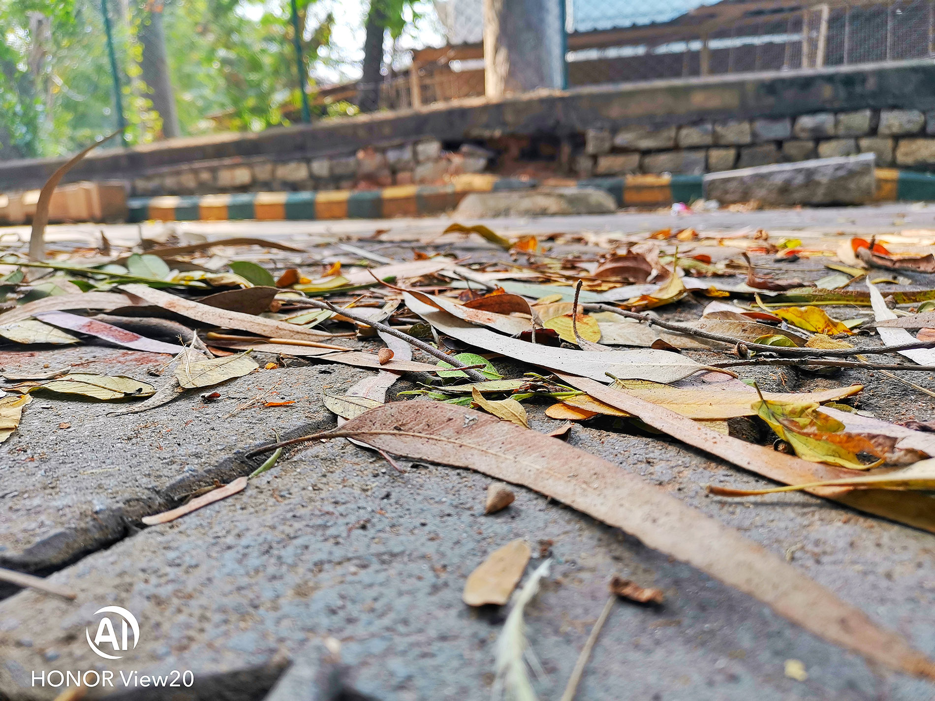 Fotografía-Explorando-el-HONOR-View20-Cámara