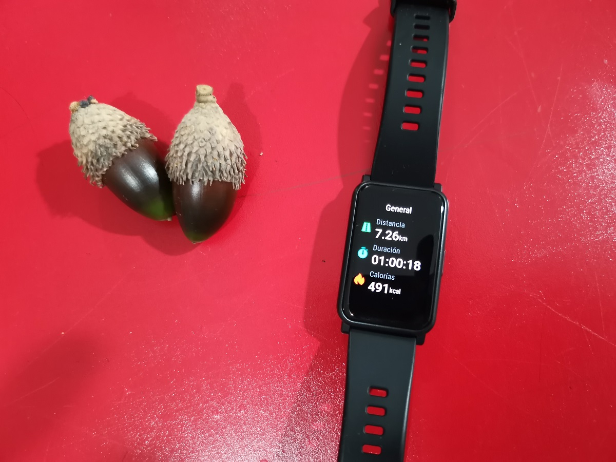 pBuenas-nochesppimg-srchttpsiforum