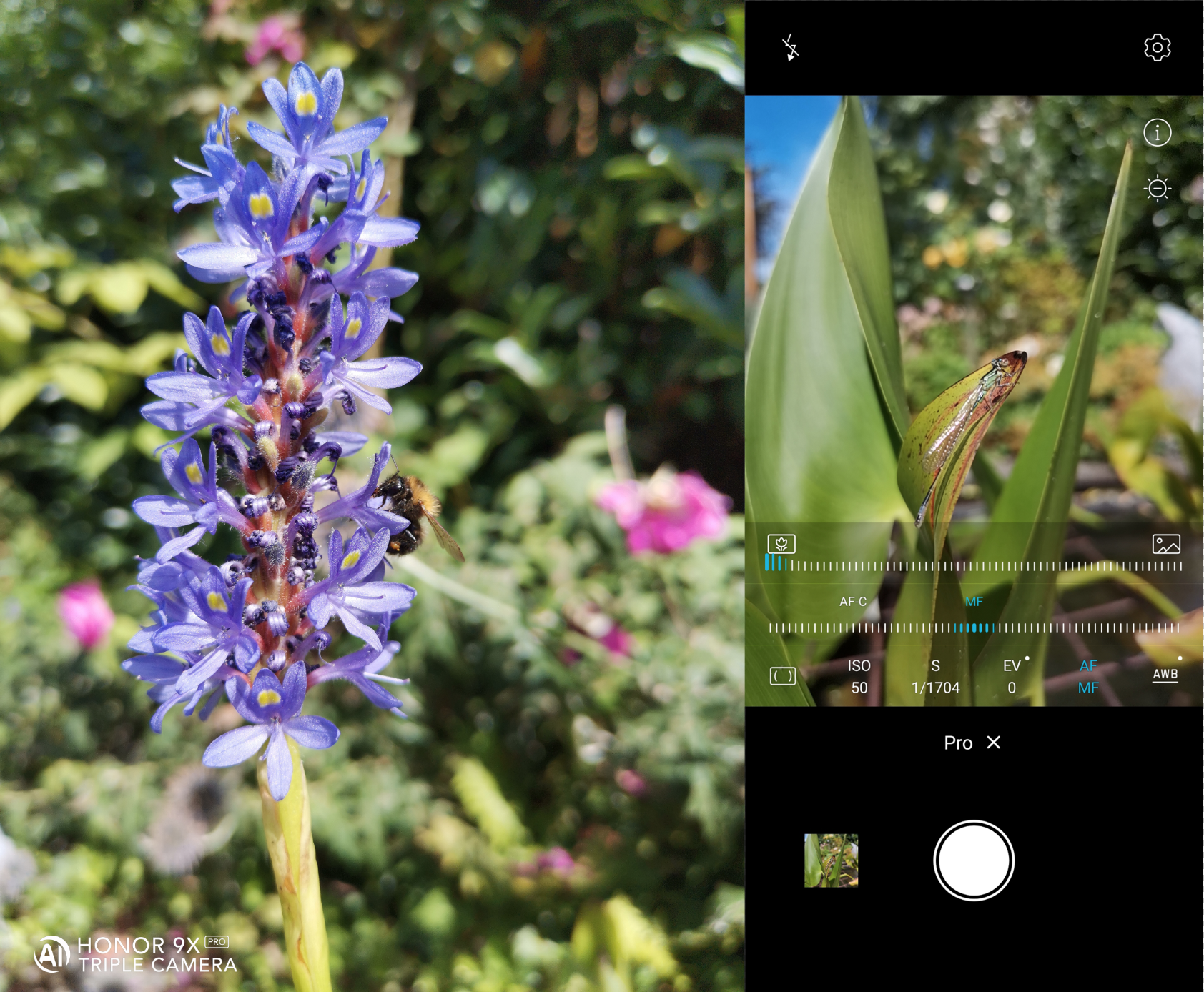 pspan-stylewhite-space-nowrapfont-size16pxHola-chicossspanppspan