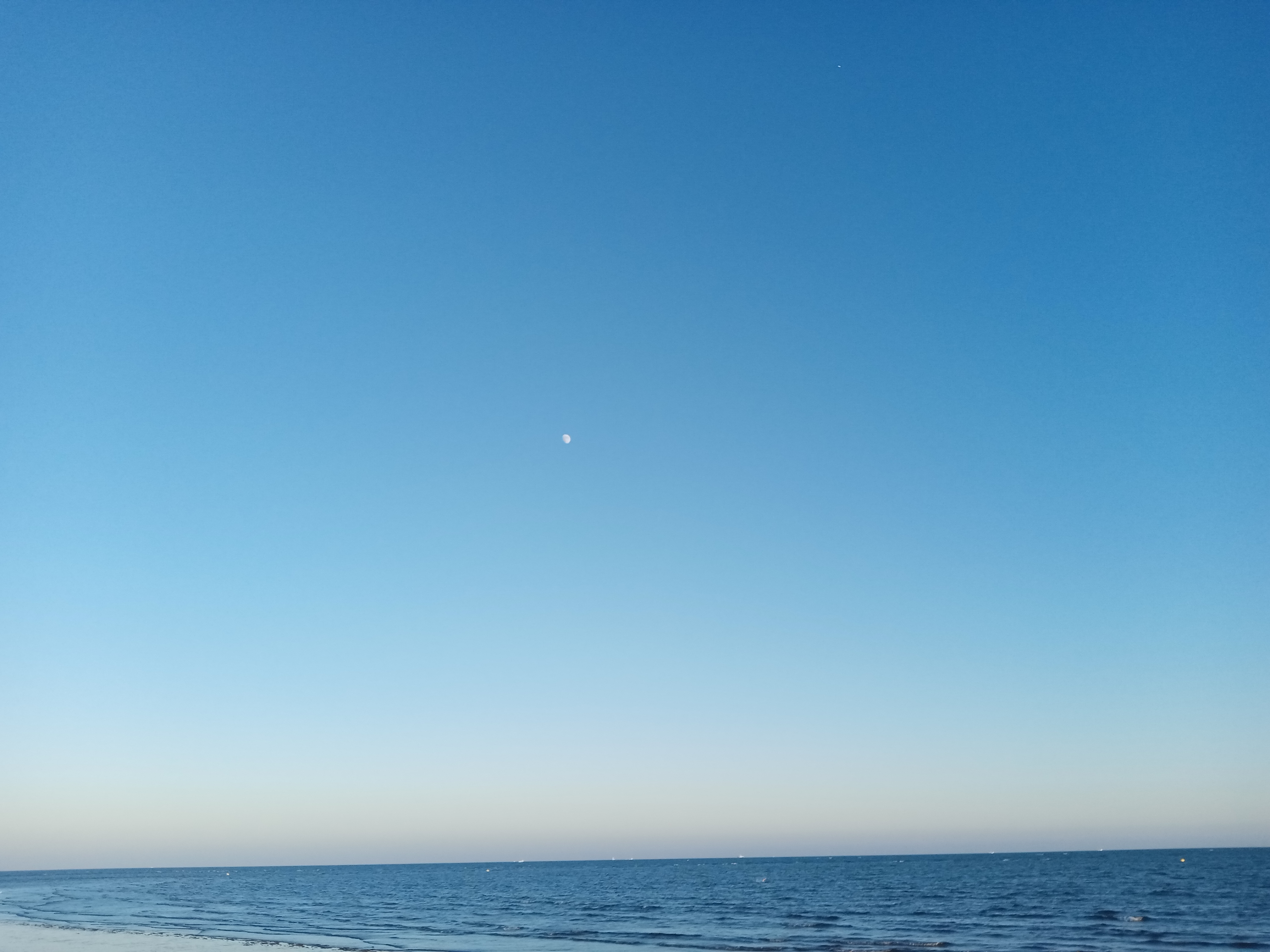 pBuenas-tardes-he-pasado-afortunadamente-algunos-días-en-una-playa-y