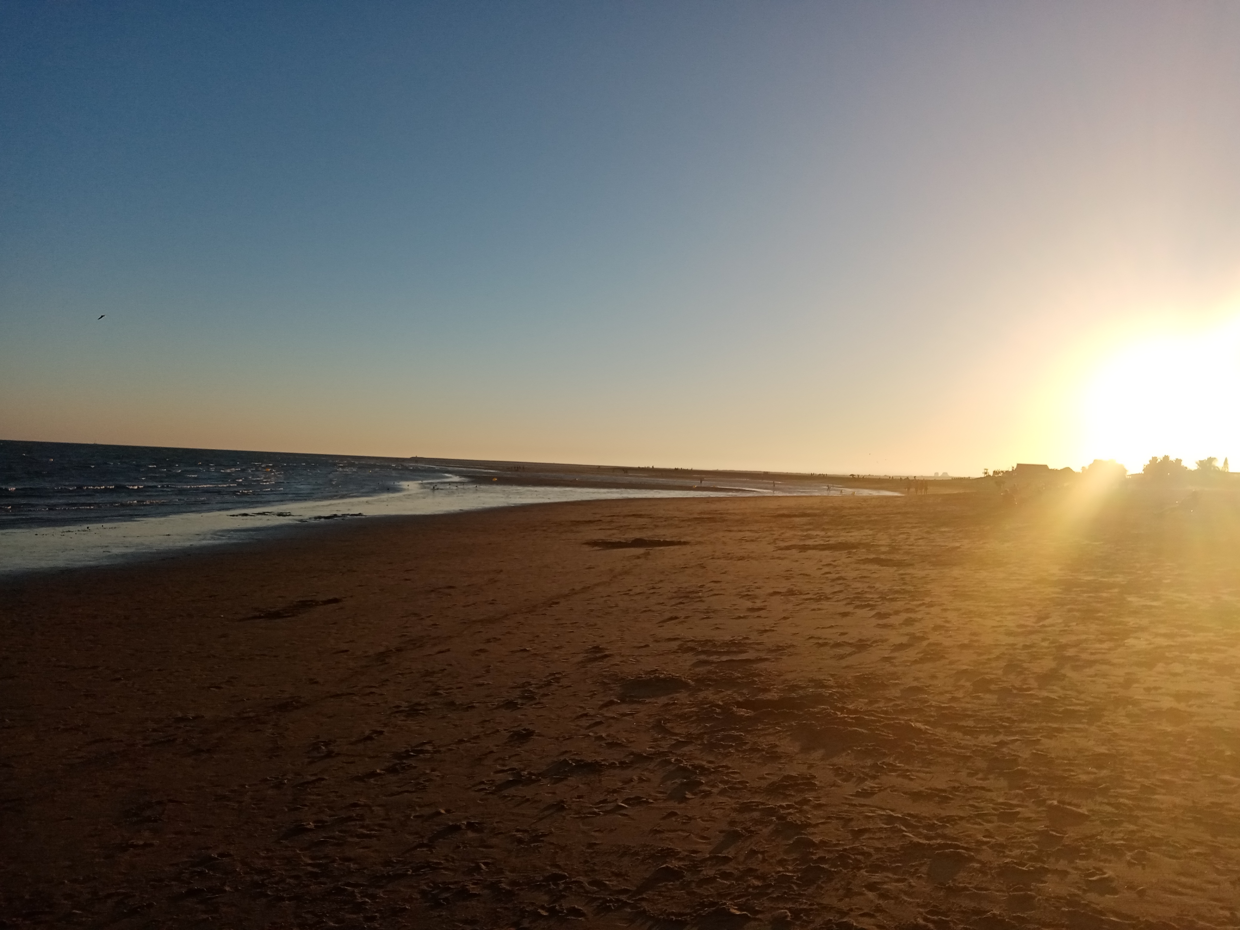 pBuenas-tardes-he-pasado-afortunadamente-algunos-días-en-una-playa-y