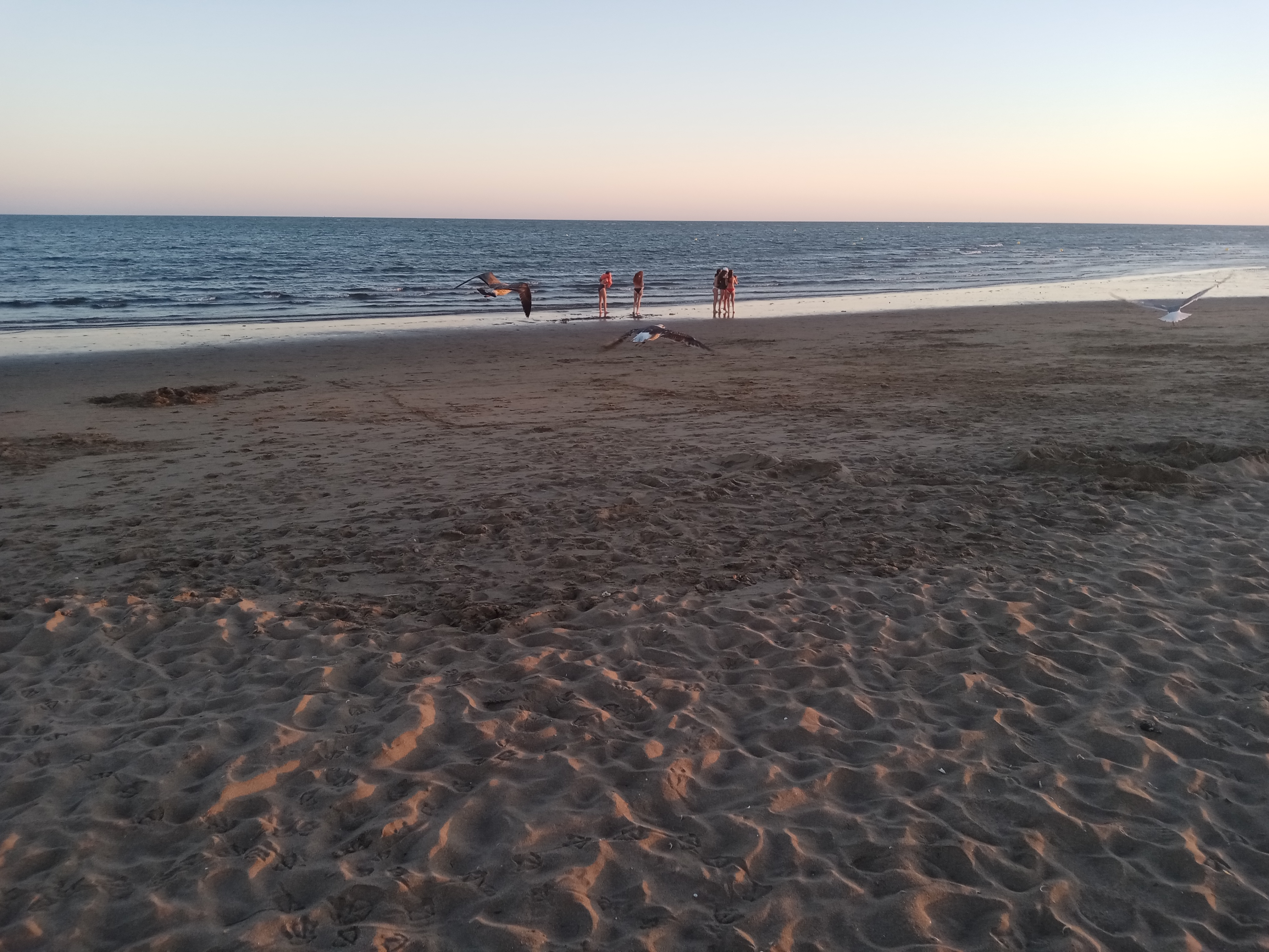 pBuenas-tardes-he-pasado-afortunadamente-algunos-días-en-una-playa-y