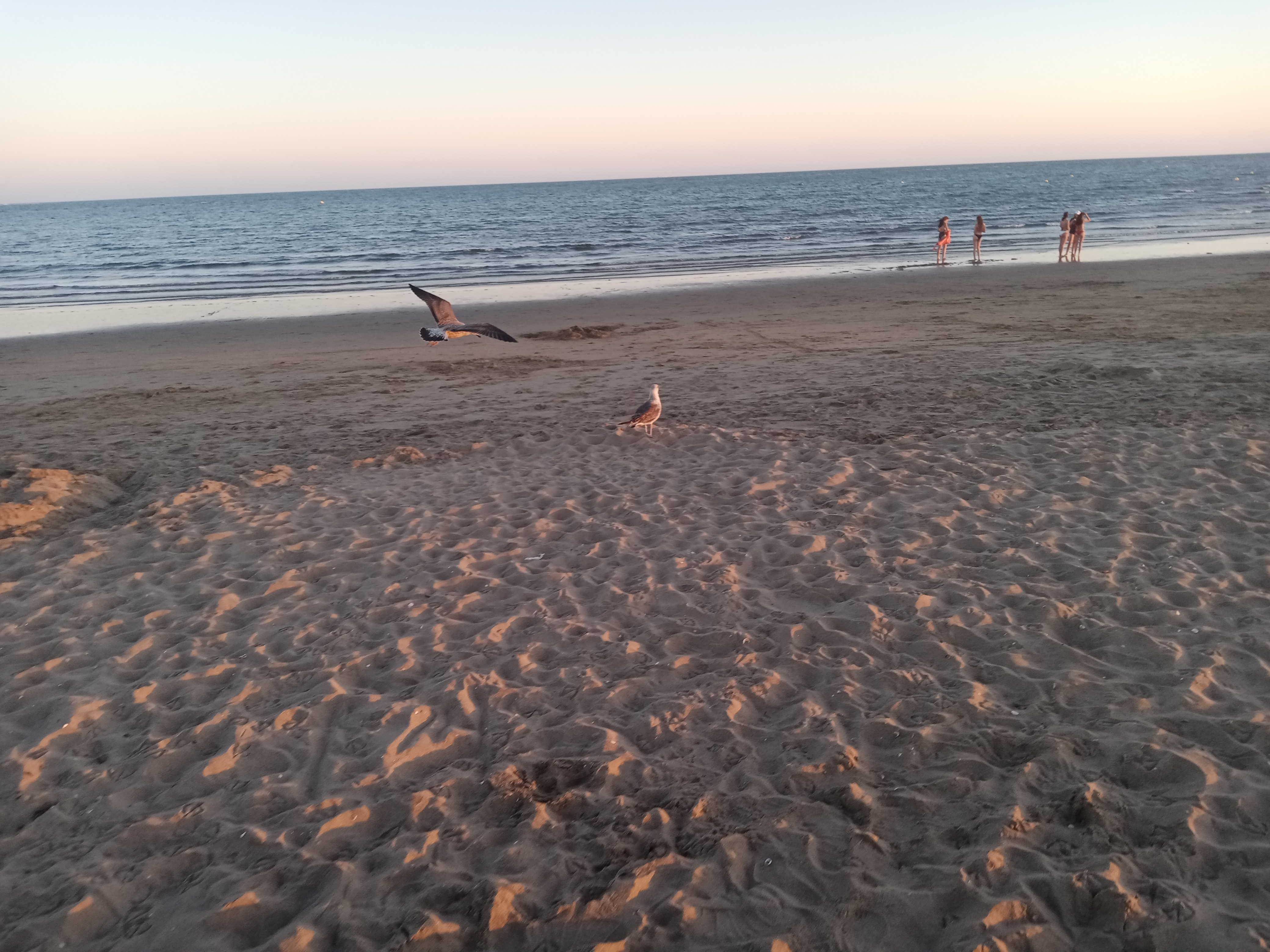 pBuenas-tardes-he-pasado-afortunadamente-algunos-días-en-una-playa-y