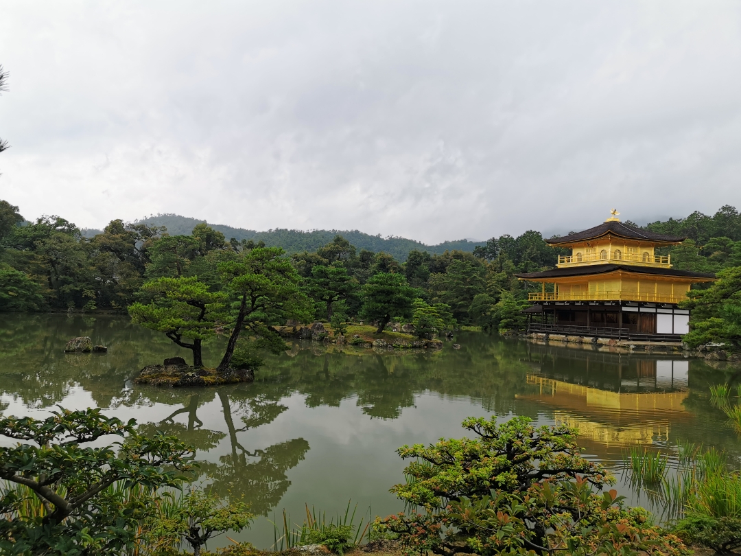 pimg-srchttpsiforum-dechihonorcomesdataimages2020910bb02e026-3f25-4948