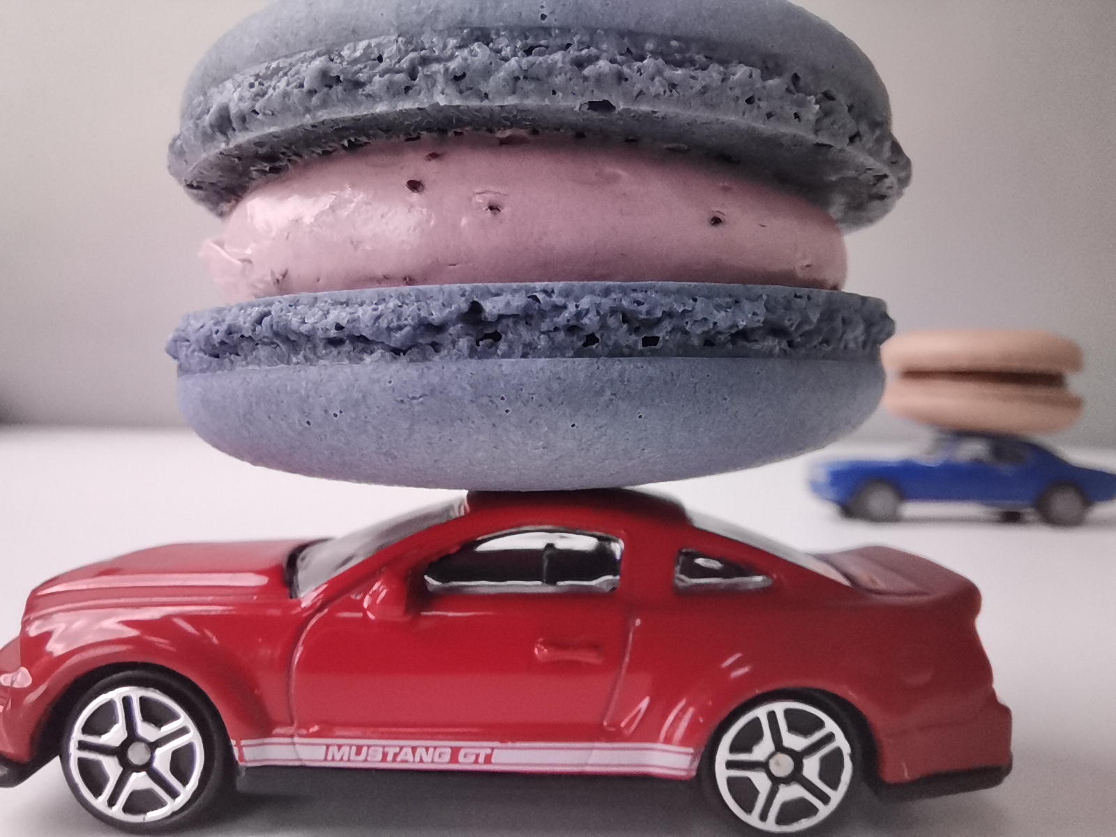 Fotografía-Innovadora-aplicación-MACRO---Fotos-de-cerca