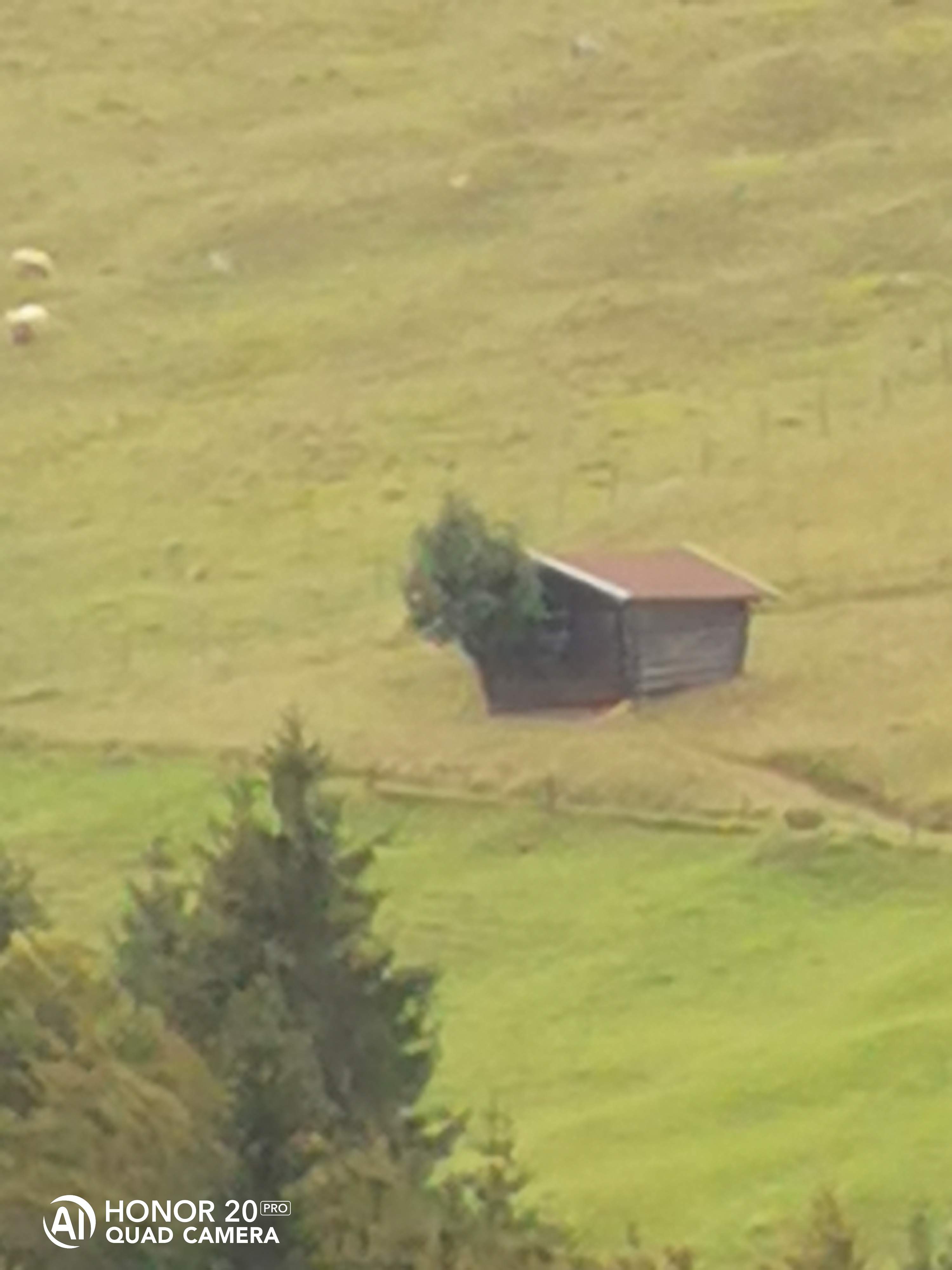 HONOR-20Pro-Cámara-a-través-del-objetivo-con-sensor-48MP