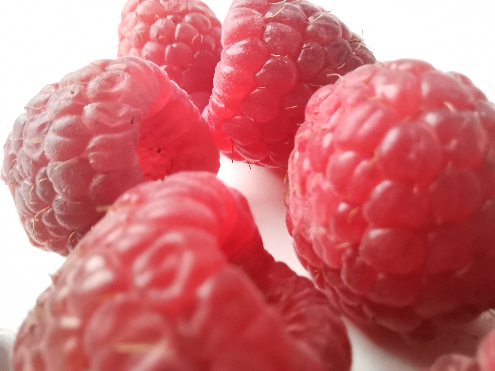 Fotografía-Innovadora-aplicación-MACRO---Fotos-de-cerca