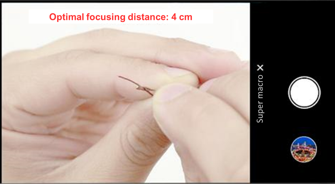 Fotografía-Innovadora-aplicación-MACRO---Fotos-de-cerca