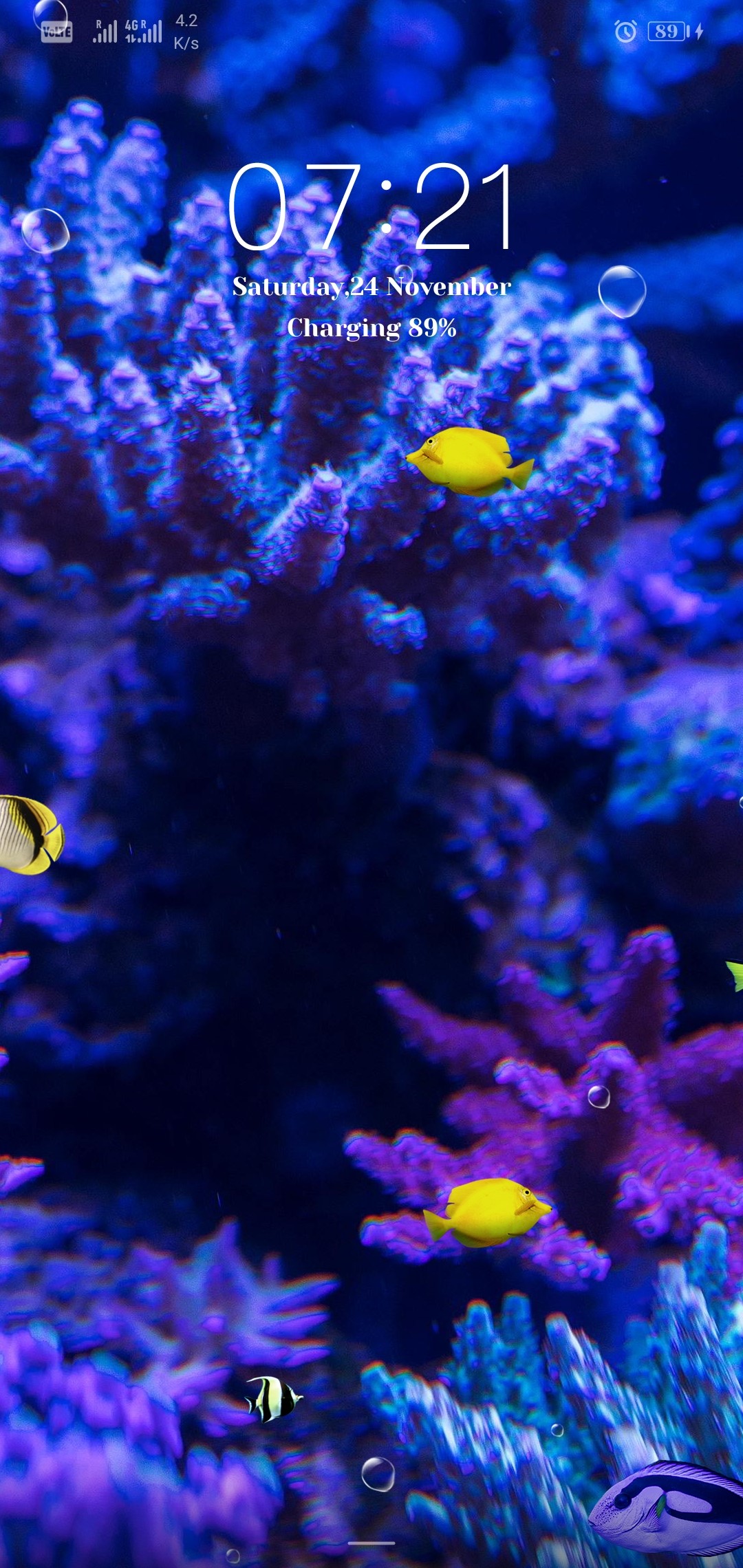 Los-temas-más-buscados-para-EMUI