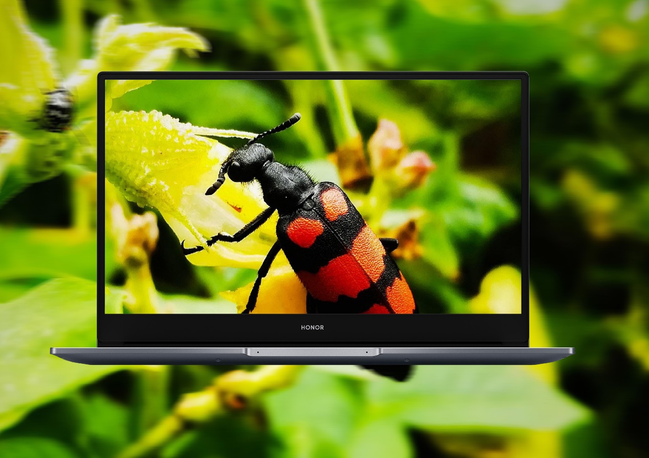 Wallpapers-Fondos-de-pantalla-para-HONOR-Magicbook-y-otros-modelos