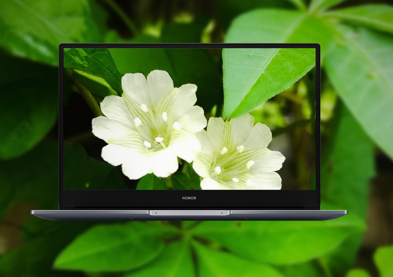 Wallpapers-Fondos-de-pantalla-para-HONOR-Magicbook-y-otros-modelos