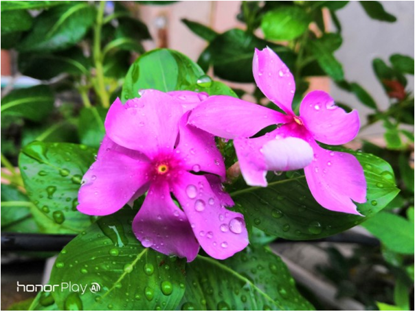 ANÁLISIS-COMPLETO-Honor-Play-es-algo-más-que-un-teléfono-gaming